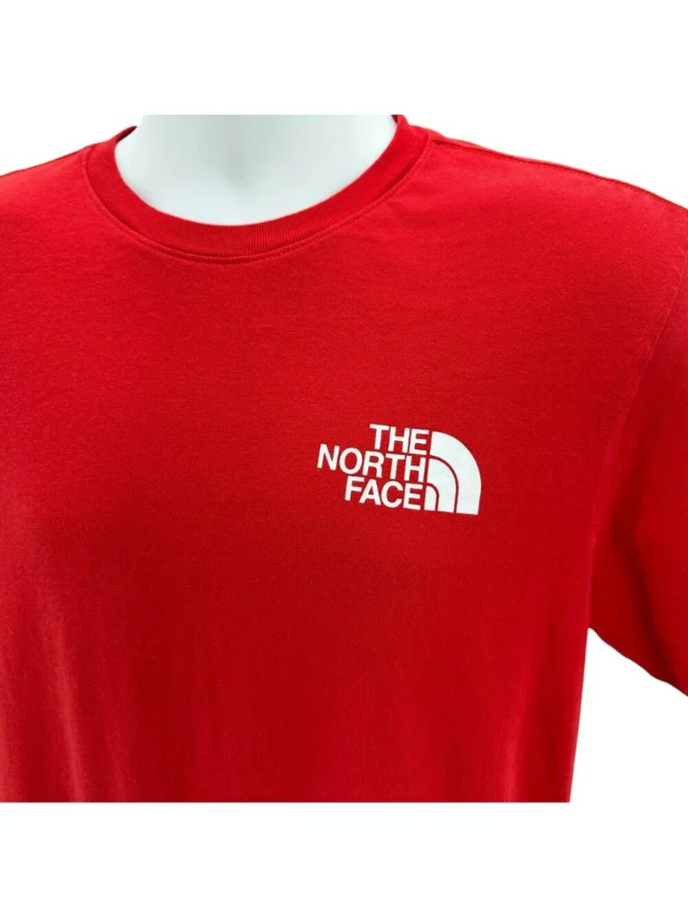 The North Face north face